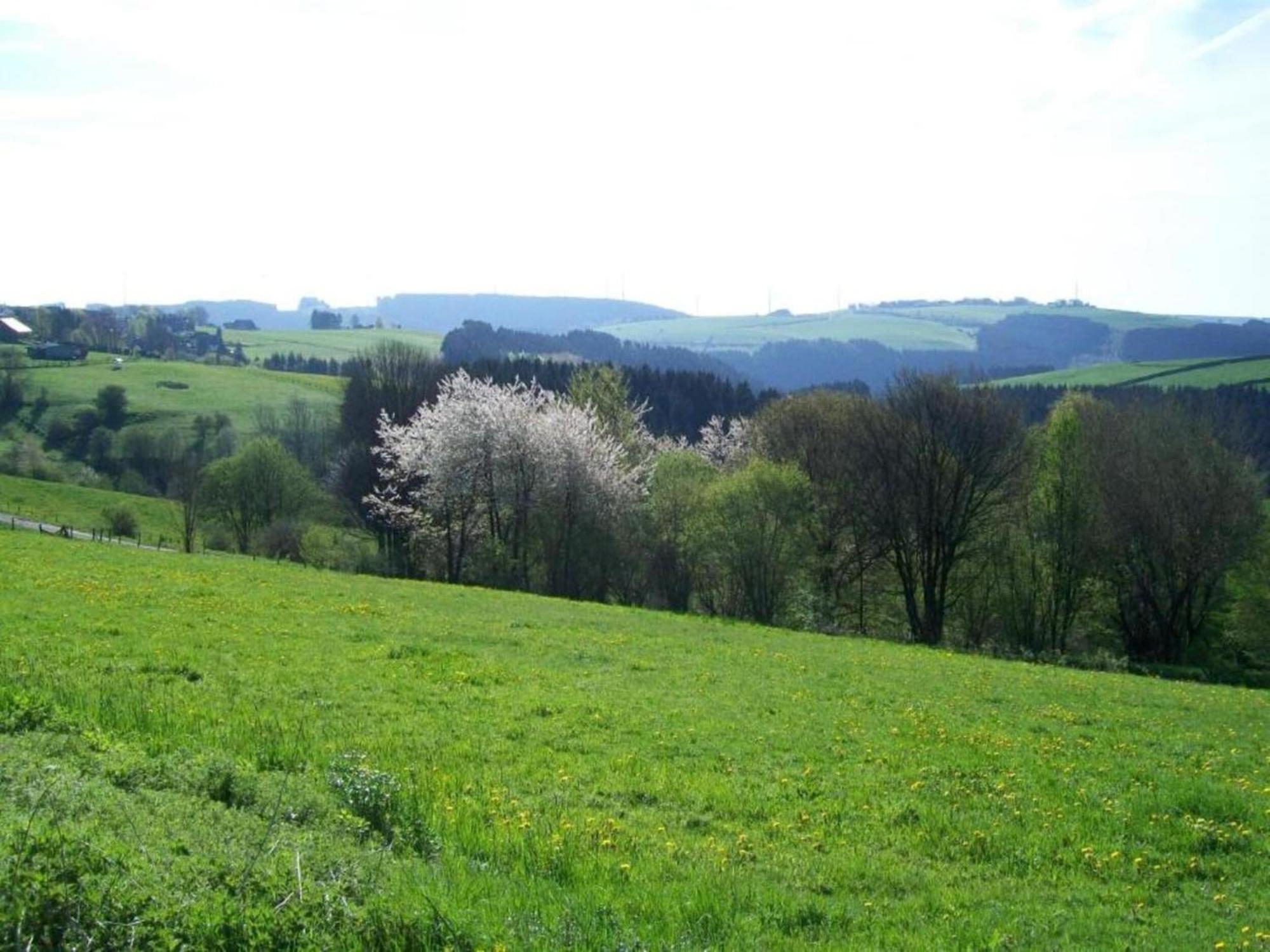 Holiday Home With Garden In Hellenthal Eifel Exterior photo